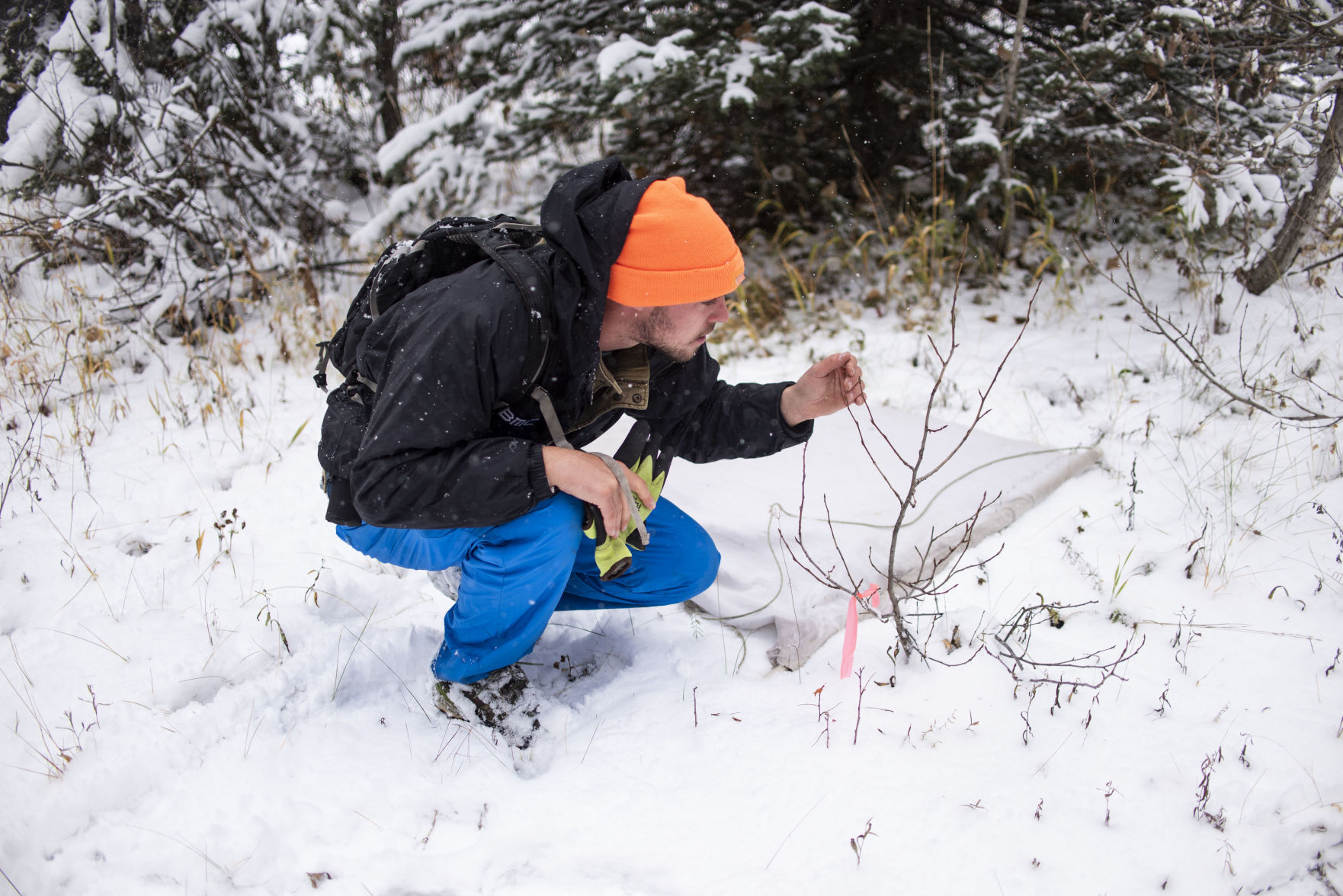 Tick Research